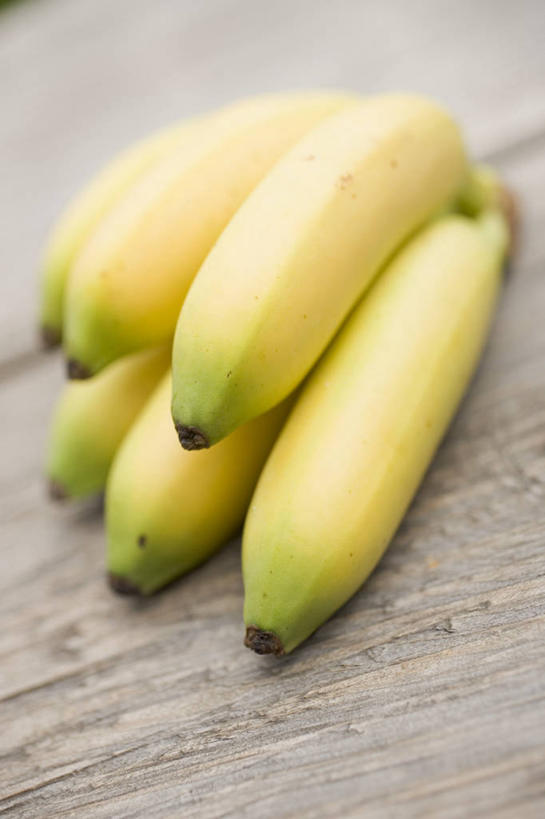 无人,竖图,俯视,室内,特写,白天,餐桌,桌子,香蕉,水果,一排,许多,阴影,朦胧,模糊,新鲜,整齐,并列,并排,反射,影子,生食,食品,果实,很多,食物,排列,黄色,有机食品,绿色食品,餐台,队列,平行,甘蕉,彩图,高角度拍摄