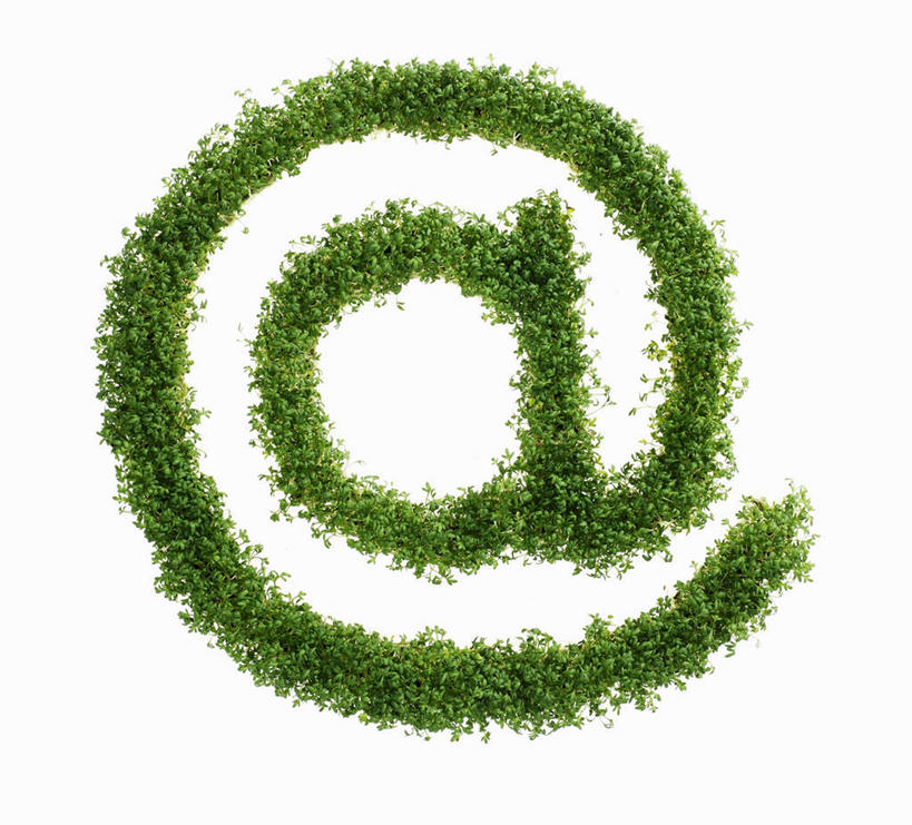 无人,横图,俯视,室内,特写,白天,白色背景,互联网,科技,餐桌,桌子,芹菜,蔬菜,叶子,阴影,新鲜,反射,因特网,网络,网址,信息,英文,标志,文字,影子,域名,字符,字母,食品,绿叶,标识,食物,绿色,嫩叶,通信,创意,摄影,有机食品,绿色食品,影棚,餐台,英文字母,地址,根芹菜,根洋芹,球根塘蒿,叶,叶片,药芹,水芹,旱芹,彩图,高角度拍摄,影棚拍摄,拍摄