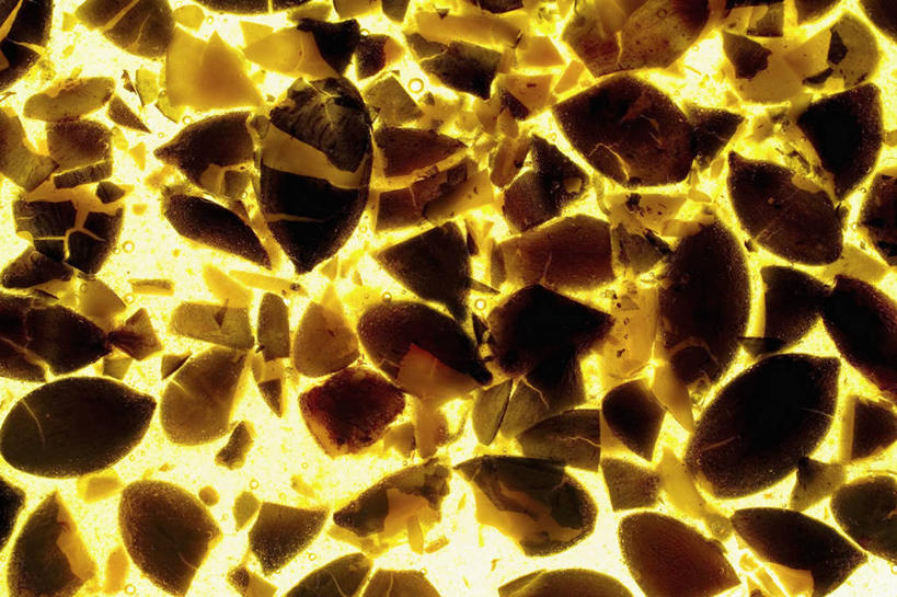 无人,横图,俯视,室内,特写,白天,餐桌,桌子,一堆,许多,切开,阴影,堆叠,堆积,反射,影子,食品,糖,糖果,甜点,甜品,软糖,很多,食物,黄色,甜食,切,餐台,堆,剖面,切面,彩图,高角度拍摄