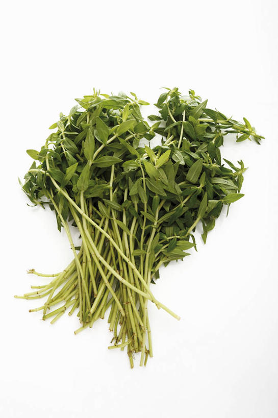 无人,竖图,俯视,室内,特写,白天,白色背景,餐桌,桌子,蔬菜,叶子,一堆,阴影,堆叠,堆积,新鲜,反射,影子,食品,绿叶,食物,绿色,嫩叶,摄影,有机食品,绿色食品,影棚,餐台,堆,叶,叶片,彩图,高角度拍摄,影棚拍摄,拍摄