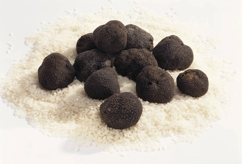 无人,横图,俯视,室内,特写,白天,白色背景,桌面,桌子,蔬菜,一堆,许多,阴影,堆叠,堆积,新鲜,反射,木制,粉末,影子,菌菇,食品,很多,菌类,食物,木制品,粉,食用菌,摄影,有机食品,绿色食品,影棚,堆,粉状,粉剂,黑孢块菌,黑块菌,块菌,彩图,高角度拍摄,影棚拍摄,拍摄