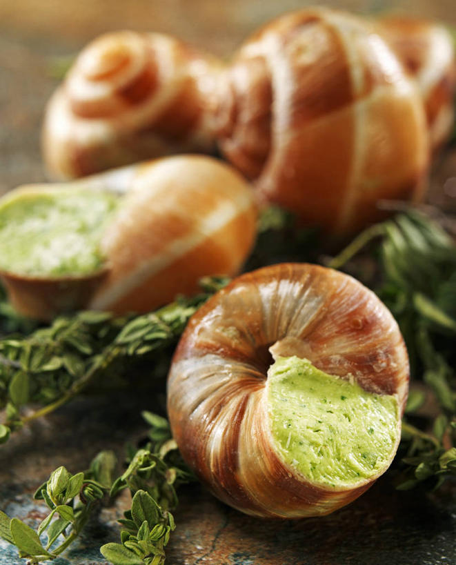 无人,竖图,俯视,室内,特写,白天,烹饪,西餐,植物,桌面,桌子,蔬菜,蒜,叶子,阴影,朦胧,模糊,新鲜,反射,木制,蜗牛,纹理,影子,黄油,料理,食品,绿叶,蒜头,菜肴,美食,食物,绿色,动物,木制品,嫩叶,西式,佳肴,有机食品,绿色食品,软体动物,乳制品,白脱油,肌理,乳脂,胡蒜,叶,叶片,叶脉,大蒜,彩图,高角度拍摄