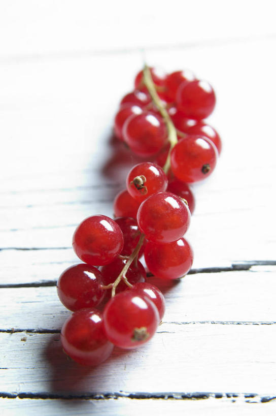 无人,竖图,俯视,室内,特写,白天,餐桌,桌子,浆果,水果,一串,阴影,新鲜,反射,影子,灯笼果,生食,食品,果实,食物,红色,摄影,有机食品,绿色食品,影棚,餐台,红醋栗,醋栗,彩图,高角度拍摄,影棚拍摄,拍摄