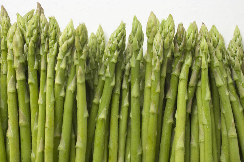 无人,横图,俯视,室内,特写,白天,白色背景,餐桌,桌子,芦笋,蔬菜,一排,许多,阴影,新鲜,整齐,并列,并排,反射,影子,食品,很多,食物,排列,绿色,摄影,有机食品,绿色食品,影棚,餐台,队列,平行,猪尾巴,药鸡豆子,石刁柏,蚂蚁杆,龙须菜,狼尾巴根,彩图,高角度拍摄,影棚拍摄,拍摄