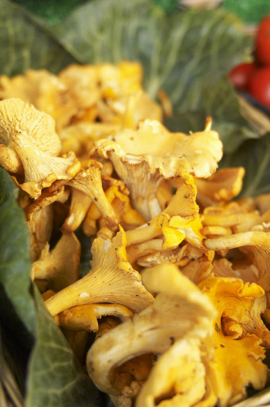 无人,竖图,俯视,室内,特写,白天,餐桌,桌子,蔬菜,叶子,一堆,许多,阴影,堆叠,堆积,新鲜,反射,影子,菌菇,食品,绿叶,菌类,食物,黄色,嫩叶,食用菌,摄影,有机食品,绿色食品,影棚,餐台,堆,鸡油菌,杏黄菌,杏菌,叶,叶片,彩图,高角度拍摄,影棚拍摄,拍摄