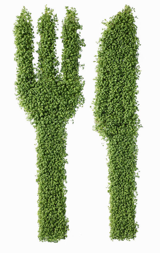 无人,竖图,俯视,室内,特写,白天,白色背景,桌面,桌子,芹菜,蔬菜,餐具,阴影,新鲜,反射,木制,叉子,刀叉,刀子,影子,食品,食物,木制品,摄影,有机食品,绿色食品,影棚,餐刀,餐叉,根芹菜,根洋芹,球根塘蒿,进餐用具,药芹,水芹,旱芹,彩图,高角度拍摄,影棚拍摄,拍摄