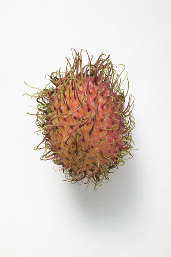 无人,竖图,俯视,室内,特写,白天,白色背景,桌面,桌子,水果,阴影,新鲜,反射,木制,影子,生食,食品,果实,食物,一个,木制品,摄影,有机食品,绿色食品,影棚,单个,红毛丹,韶子,毛龙眼,毛荔枝,彩图,高角度拍摄,影棚拍摄,拍摄