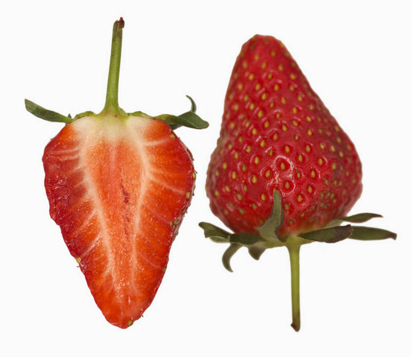 无人,横图,俯视,室内,特写,白天,白色背景,餐桌,桌子,草莓,浆果,水果,叶子,切开,阴影,新鲜,反射,影子,生食,食品,果实,绿叶,食物,两个,红色,切,嫩叶,摄影,有机食品,绿色食品,影棚,餐台,剖面,切面,叶,叶片,洋莓,水果皇后,红莓,地莓,彩图,高角度拍摄,影棚拍摄,拍摄