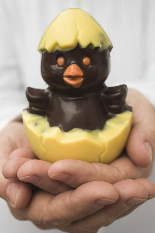 西方人,手,一个人,捧,竖图,室内,特写,白天,正面,鸡,欧洲,复活节,欧洲人,双手,仅一个男性,仅一个人,仅一个中年男性,一块,服装,节日,朦胧,模糊,庆祝,雕刻,食品,糖,糖果,甜点,甜品,文化,食物,衣服,甜食,巧克力,庆典,手部,服饰,纪念,朱古力,黑巧克力,衣着,穿着,衣饰,男人,男性,中年男性,白种人,端,端着,捧着,手捧,半身,彩图