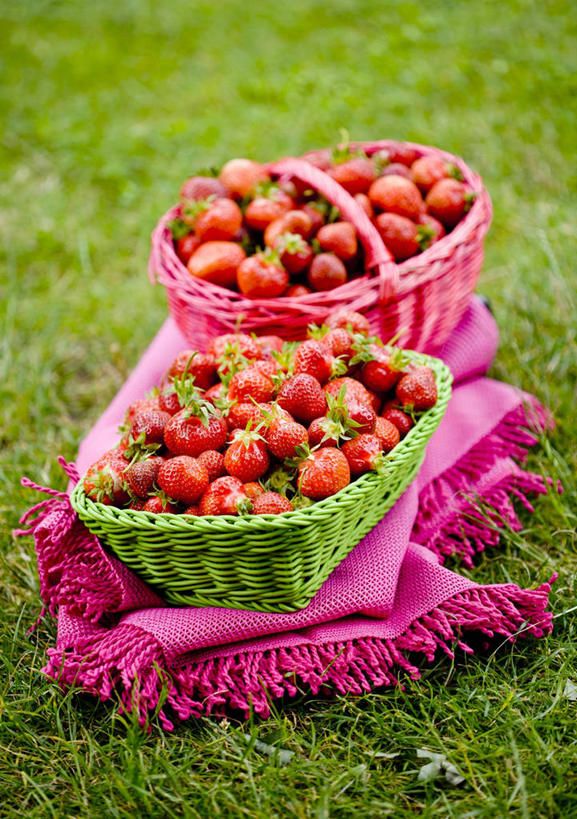 无人,交叉,竖图,俯视,室外,特写,白天,草地,草坪,植物,竹子,草莓,浆果,水果,一堆,许多,阴影,堆叠,堆积,竹制,新鲜,装饰,编织,反射,篮子,影子,生食,食品,果实,草,食物,两个,粉色,绿色,围巾,竹篮,温暖,有机食品,绿色食品,围脖,竹条,堆,保暖,华丽,交织,点缀,竹制品,御寒,衬托,美观,雅致,雅观,穿插,洋莓,水果皇后,红莓,地莓,彩图,高角度拍摄