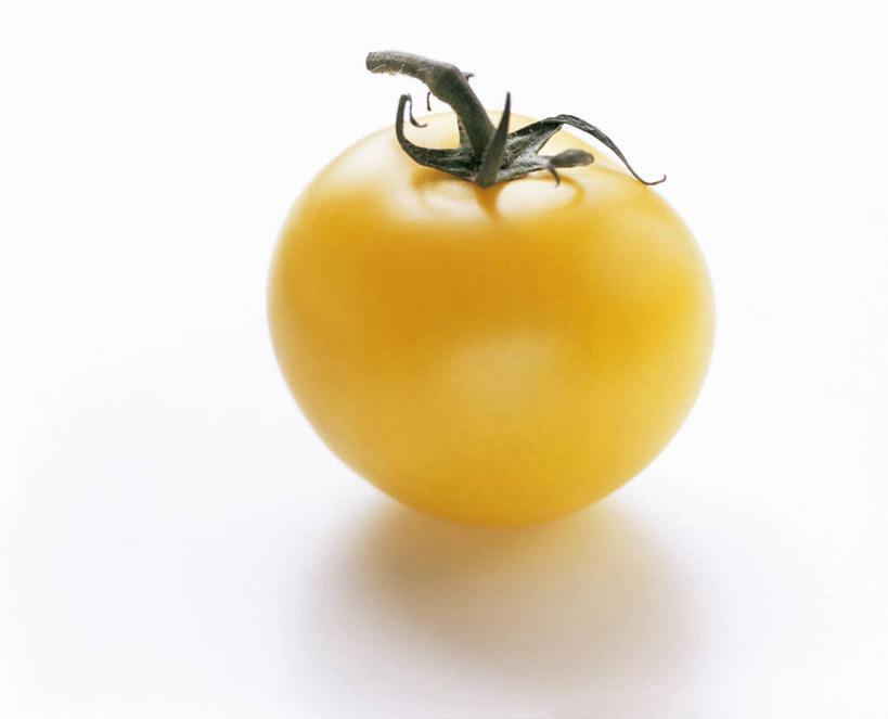 无人,横图,俯视,室内,特写,白天,白色背景,蔬菜,西红柿,叶子,阴影,新鲜,反射,影子,食品,绿叶,食物,一个,黄色,嫩叶,摄影,有机食品,绿色食品,影棚,单个,叶,叶片,番茄,彩图,高角度拍摄,影棚拍摄,拍摄