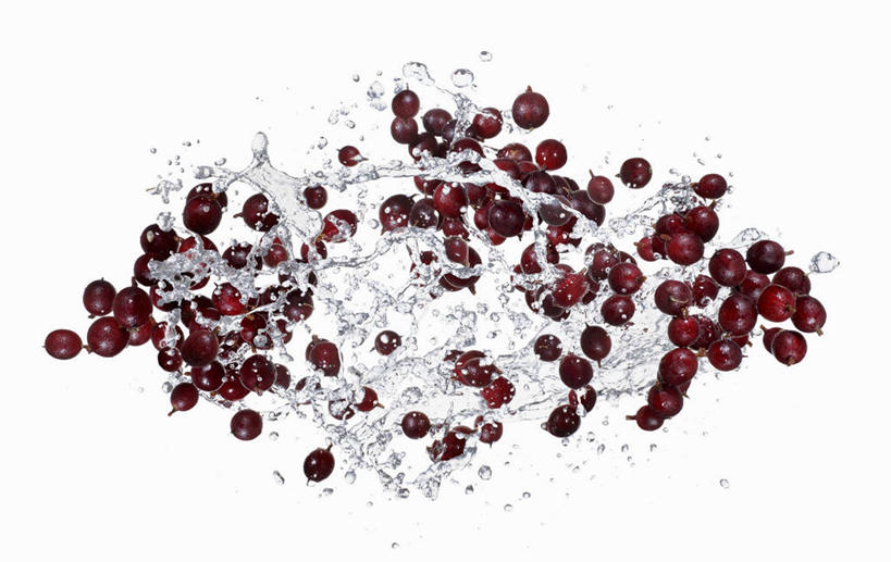 无人,横图,俯视,室内,特写,白天,白色背景,水,浆果,水果,阴影,飞溅,新鲜,溅,反射,液体,影子,水滴,灯笼果,生食,食品,果实,水珠,食物,摄影,有机食品,绿色食品,影棚,喷洒,红醋栗,醋栗,彩图,高角度拍摄,影棚拍摄,拍摄