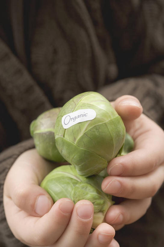 西方人,儿童,手,一个人,捧,竖图,俯视,室内,特写,白天,纯洁,蔬菜,椰菜,卷心菜,欧洲,欧洲人,双手,仅一个女性,仅一个人,一堆,许多,阴影,堆叠,堆积,服装,新鲜,反射,影子,食品,休闲装,食物,小孩,衣服,仅一个小孩,休闲,手部,休闲服,甘蓝,可爱,童年,童趣,服饰,有机食品,绿色食品,堆,童真,烂漫,无邪,天真,女孩,女人,女性,白种人,孩子,结球甘蓝,甘兰,包心菜,端,端着,捧着,手捧,半身,彩图,高角度拍摄,女生