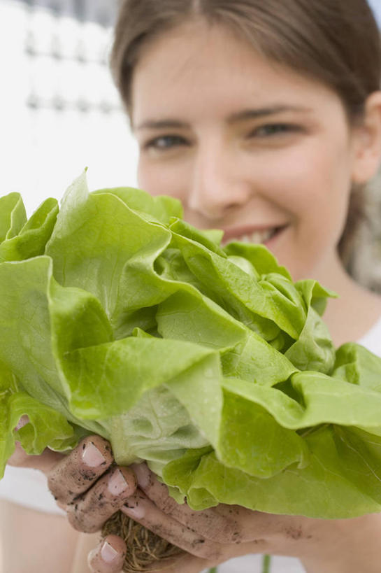 西方人,一个人,站,捧,笑,微笑,露齿笑,竖图,室内,特写,白天,正面,蔬菜,欧洲,欧洲人,仅一个年轻女性,仅一个女性,仅一个人,阴影,服装,朦胧,模糊,新鲜,反射,影子,生菜,莴苣,食品,注视,休闲装,食物,一个,衣服,观察,看,站着,休闲,休闲服,服饰,有机食品,绿色食品,单个,观看,察看,关注,春菜,鹅仔菜,莴仔菜,千金菜,叶用莴苣,奶油生菜,年轻女性,女人,女性,白种人,端,端着,捧着,手捧,站立,半身,彩图