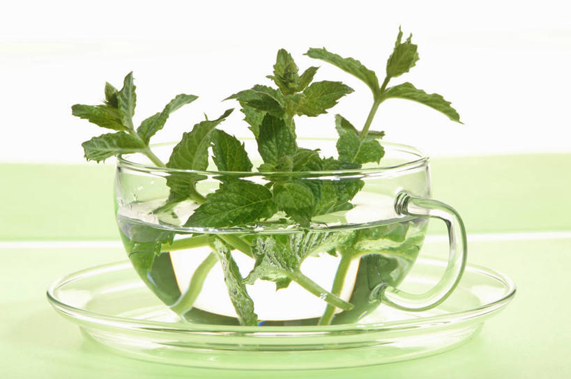 无人,横图,俯视,室内,特写,白天,幸福,餐桌,茶,桌子,餐具,玻璃,阴影,反射,碟子,盘,影子,茶叶,薄荷,银丹草,饮品,一杯,娱乐,玻璃制品,一个,盘子,容器,碟,碗,花茶,享受,休闲,温馨,放松,乐趣,保健,养生,摄影,影棚,单个,餐台,储藏,花草茶,舒适,储存,香花茶,香片,熏花茶,斑叶凤梨薄荷,苹果薄荷,夜息香,彩图,高角度拍摄,影棚拍摄,拍摄,贮存