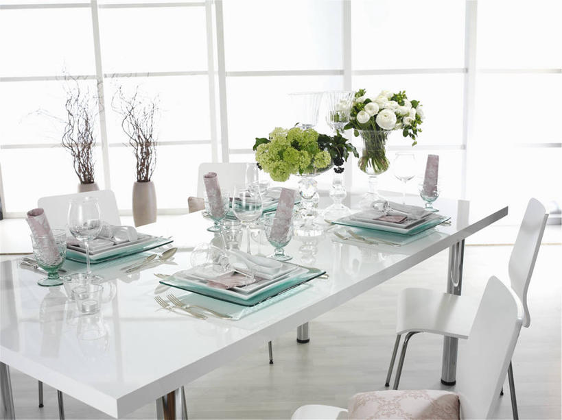 无人,横图,俯视,室内,白天,植物,餐桌,窗户,桌子,餐具,椅子,阴影,盛开,反射,碟子,盘,盆栽,影子,毛茛,草药,药草,盆景,花蕾,中药,玻璃窗,花,花瓣,花朵,鲜花,绿色,自然,盘子,碟,花苞,花蕊,生长,成长,餐台,药材,中草药,中药材,本草,老虎脚爪草,鱼疔草,彩图,高角度拍摄