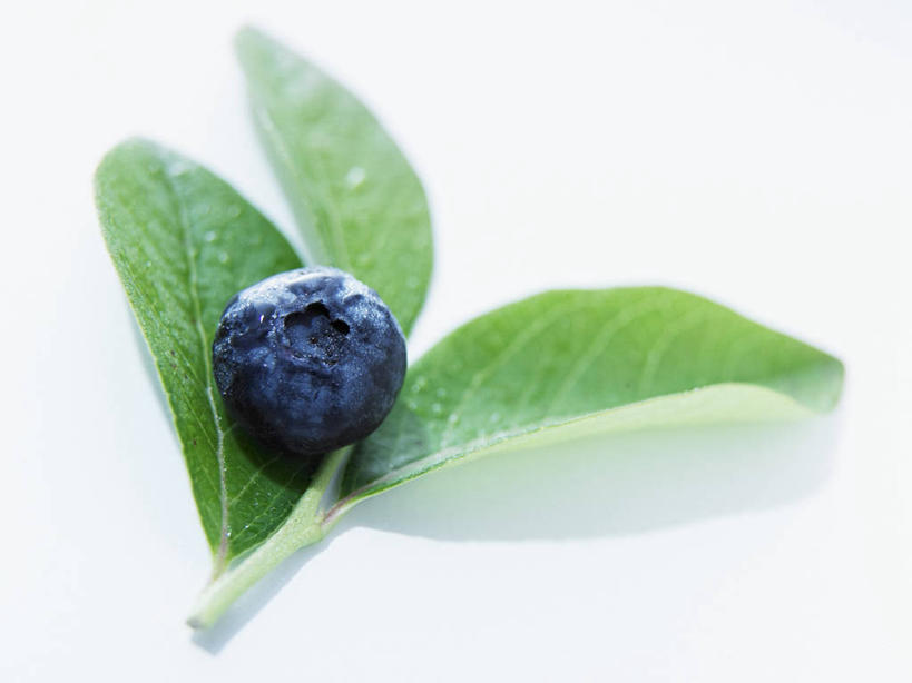 无人,横图,俯视,室内,特写,白天,白色背景,桌面,桌子,浆果,蓝莓,水果,叶子,阴影,新鲜,反射,木制,影子,生食,食品,果实,绿叶,食物,一个,木制品,嫩叶,摄影,有机食品,绿色食品,影棚,单个,叶,叶片,山都柿,蓝浆果,蓝靛果,彩图,高角度拍摄,影棚拍摄,拍摄