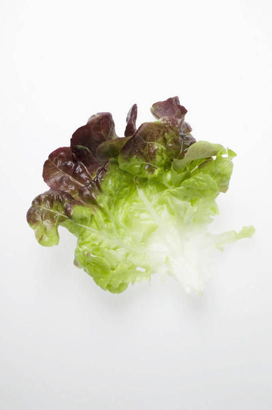 无人,竖图,俯视,室内,特写,白天,白色背景,桌面,桌子,蔬菜,叶子,阴影,新鲜,反射,木制,影子,生菜,莴苣,食品,绿叶,食物,木制品,嫩叶,摄影,有机食品,绿色食品,影棚,春菜,鹅仔菜,莴仔菜,千金菜,叶用莴苣,叶,叶片,彩图,高角度拍摄,影棚拍摄,拍摄