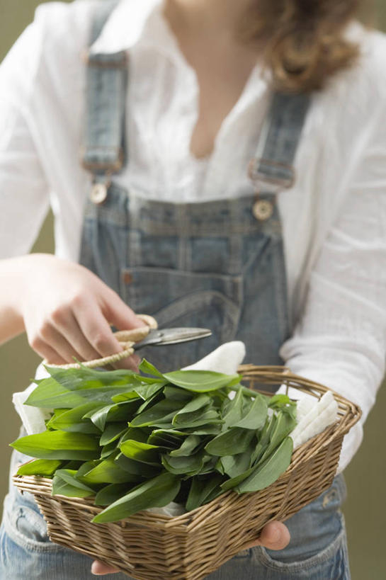 西方人,手,一个人,站,交叉,竖图,室外,特写,白天,正面,竹子,蔬菜,蒜,叶子,欧洲,欧洲人,双手,仅一个年轻女性,仅一个女性,仅一个人,一把,握,修剪,竹制,服装,朦胧,模糊,新鲜,编织,工具,剪刀,篮子,食品,绿叶,拿,蒜头,拿着,休闲装,食物,一个,衣服,绿色,竹篮,站着,休闲,手部,休闲服,嫩叶,握着,服饰,有机食品,绿色食品,单个,竹条,裁剪,交织,剪子,剪裁,切割,竹制品,穿插,胡蒜,年轻女性,女人,女性,白种人,叶,叶片,大蒜,站立,半身,彩图
