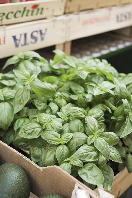 无人,菜场,竖图,俯视,室内,特写,白天,购物,消费,植物,叶子,一堆,阴影,堆叠,堆积,朦胧,模糊,反射,木制,英文,标志,木盒,文字,影子,字符,字母,香料,绿叶,草药,集市,市场,标识,中药,木制品,容器,香草,嫩叶,金融,储藏,堆,英文字母,罗勒,储存,紫苏,药材,中草药,选购,贸易,九层塔,圣约瑟夫草,甜罗勒,兰香,中药材,本草,菜市,叶,叶片,彩图,高角度拍摄,菜市场,贮存