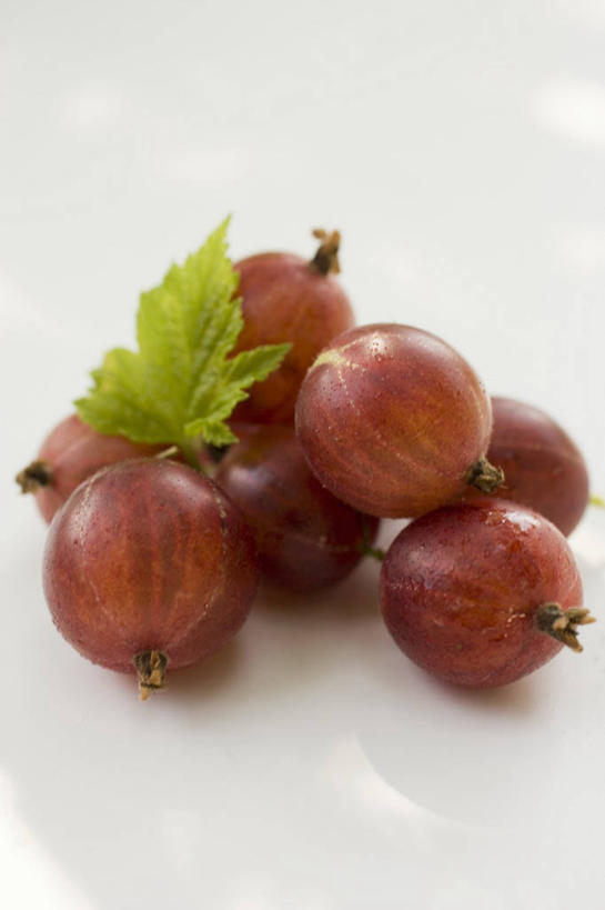 无人,竖图,俯视,室内,特写,白天,白色背景,餐桌,桌子,浆果,水果,叶子,一堆,许多,阴影,堆叠,堆积,新鲜,反射,影子,灯笼果,生食,食品,果实,绿叶,很多,食物,红色,绿色,嫩叶,摄影,有机食品,绿色食品,影棚,餐台,堆,红醋栗,叶,叶片,醋栗,彩图,高角度拍摄,影棚拍摄,拍摄