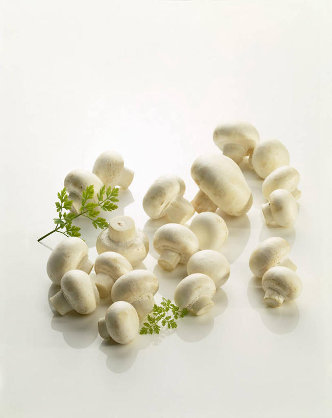 无人,竖图,俯视,室内,特写,白天,白色背景,餐桌,桌子,蔬菜,叶子,许多,阴影,新鲜,反射,影子,菌菇,蘑菇,食品,绿叶,很多,菌类,食物,白色,嫩叶,食用菌,摄影,有机食品,绿色食品,影棚,餐台,白蘑菇,洋蘑菇,草腐菌,二孢蘑菇,双孢蘑菇,叶,叶片,彩图,高角度拍摄,影棚拍摄,拍摄