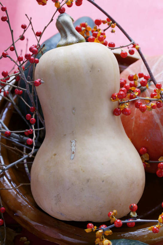 无人,竖图,俯视,室内,特写,白天,植物,餐桌,桌子,南瓜,蔬菜,阴影,新鲜,反射,影子,金瓜,食品,枝条,番瓜,树,树木,树枝,食物,一个,有机食品,绿色食品,单个,餐台,麦瓜,倭瓜,虬枝,枝杈,彩图,高角度拍摄