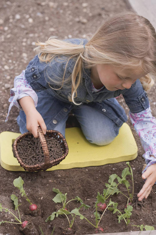 西方人,儿童,一个人,蹲,交叉,竖图,俯视,室外,白天,纯洁,竹子,萝卜,蔬菜,叶子,欧洲,欧洲人,仅一个女性,仅一个人,握,竹制,服装,新鲜,编织,篮子,泥土,土壤,食品,绿叶,拿,拿着,休闲装,食物,一个,小孩,衣服,竹篮,仅一个小孩,休闲,休闲服,嫩叶,可爱,童年,童趣,握着,服饰,有机食品,绿色食品,单个,竹条,交织,竹制品,童真,烂漫,无邪,穿插,大红萝卜,东北红萝卜,天真,女孩,女人,女性,白种人,孩子,叶,叶片,莱菔,红萝卜,蹲着,半身,彩图,高角度拍摄,女生