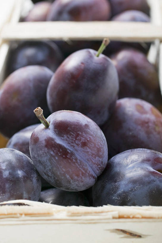 无人,交叉,竖图,俯视,室内,特写,白天,竹子,李子,水果,一堆,许多,阴影,堆叠,堆积,竹制,朦胧,模糊,新鲜,编织,反射,篮子,影子,生食,食品,果实,食物,一个,紫色,竹篮,有机食品,绿色食品,单个,竹条,堆,交织,竹制品,穿插,红李,鸡血李,杏李,彩图,高角度拍摄