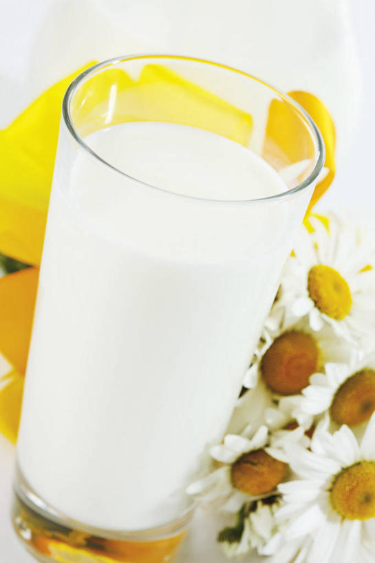 牛奶,无人,竖图,俯视,室内,特写,白天,白色背景,快乐,幸福,桌面,桌子,杯子,阴影,朦胧,模糊,盛开,反射,木制,影子,玛格丽特,饮品,一杯,营养,花蕾,玻璃制品,雏菊,花,花瓣,花朵,鲜花,饮料,木制品,水杯,花苞,花蕊,菊花,活力,摄影,影棚,希望,乳制品,坚强,奶,牛乳,和平,离别,延命菊,幸福花,春菊,马兰头花,安神,暗恋,纯情,单恋,天真,玻璃杯,彩图,高角度拍摄,影棚拍摄,愉快,拍摄