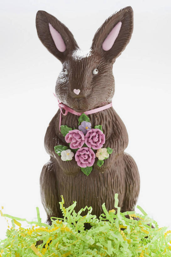 无人,竖图,室内,特写,白天,白色背景,正面,餐桌,桌子,哺乳动物,复活节,阴影,节日,庆祝,反射,兔子,影子,食品,糖,糖果,甜点,甜品,褐色,文化,食物,动物,甜食,巧克力,庆典,摄影,影棚,餐台,纪念,朱古力,兔,彩图,影棚拍摄,拍摄