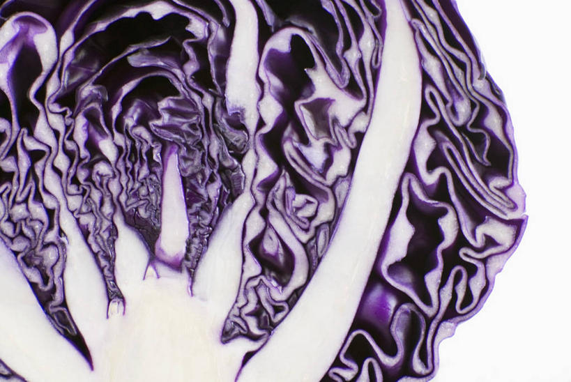 无人,横图,俯视,室内,特写,白天,白色背景,餐桌,桌子,蔬菜,椰菜,卷心菜,一块,切开,阴影,新鲜,反射,影子,紫甘蓝,食品,紫包菜,食物,切,赤甘蓝,甘蓝,摄影,有机食品,绿色食品,影棚,餐台,剖面,紫椰菜,切面,紫圆白菜,结球甘蓝,红甘蓝,甘兰,包心菜,彩图,高角度拍摄,影棚拍摄,拍摄