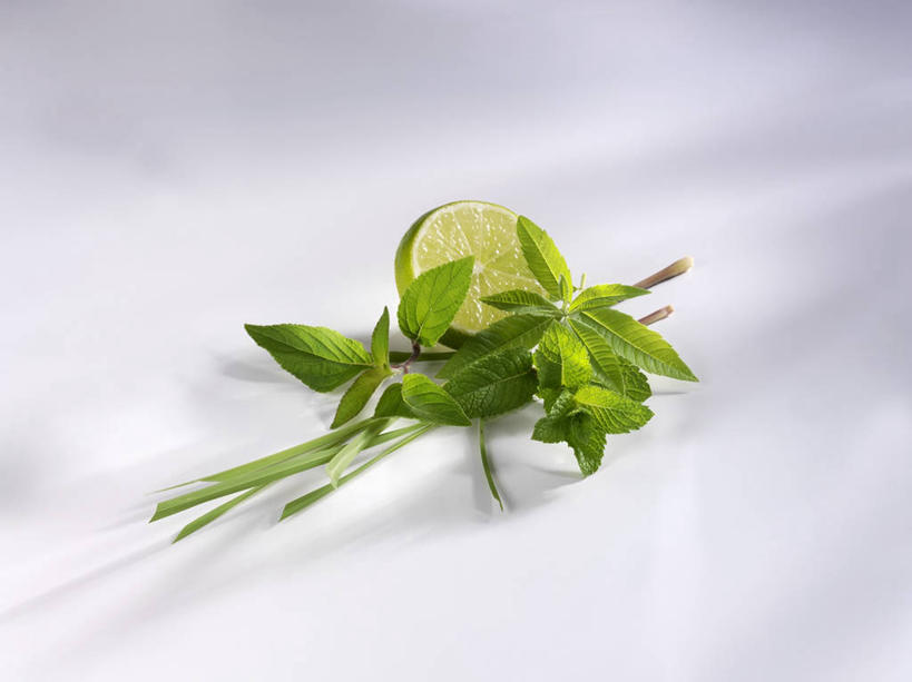 无人,横图,俯视,室内,特写,白天,白色背景,餐桌,桌子,水果,叶子,切开,阴影,新鲜,反射,影子,调味,生食,香料,佐料,食品,果实,绿叶,香茅,柠檬草,食物,切,嫩叶,摄影,有机食品,绿色食品,影棚,餐台,剖面,切面,作料,酸橙,代代,叶,叶片,橙子,橙,彩图,高角度拍摄,影棚拍摄,拍摄