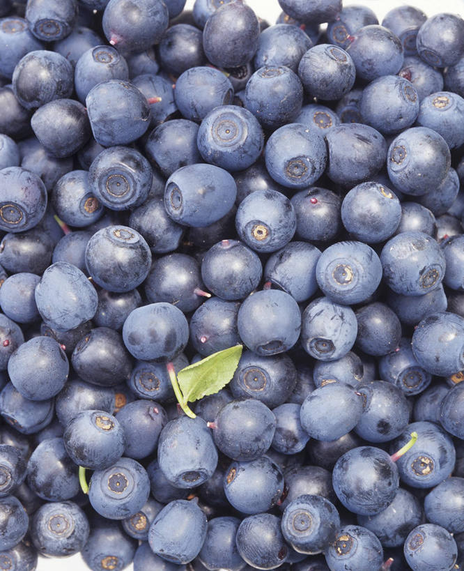 无人,竖图,俯视,室内,特写,白天,浆果,蓝莓,水果,叶子,一堆,许多,堆叠,堆积,新鲜,生食,食品,果实,绿叶,很多,食物,蓝色,嫩叶,有机食品,绿色食品,堆,叶,叶片,山都柿,蓝浆果,蓝靛果,彩图,高角度拍摄