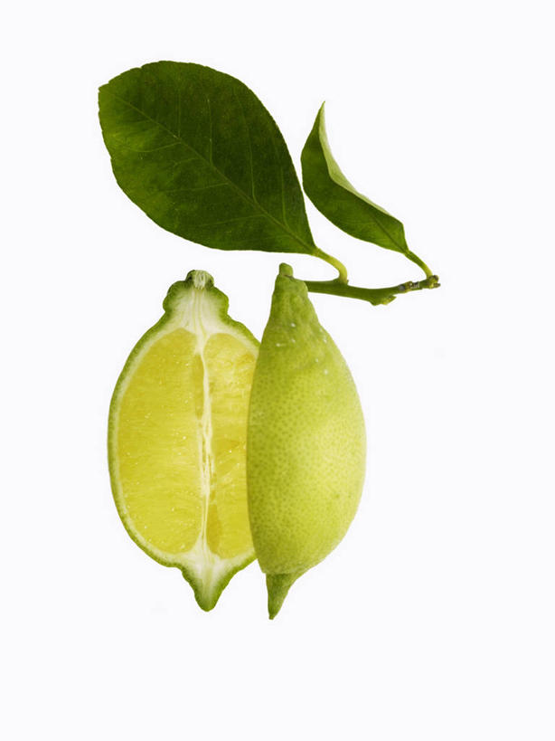 无人,竖图,室内,特写,白天,白色背景,正面,植物,桌面,桌子,柠檬,水果,叶子,切开,阴影,新鲜,反射,木制,纹理,影子,生食,食品,果实,绿叶,食物,一个,黄色,绿色,木制品,切,嫩叶,摄影,有机食品,绿色食品,影棚,单个,剖面,切面,肌理,叶,叶片,叶脉,益母果,柠果,彩图,影棚拍摄,拍摄