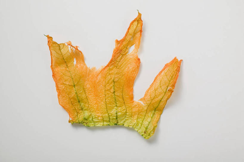 无人,横图,俯视,室内,特写,白天,白色背景,桌面,桌子,阴影,盛开,反射,纹路,木制,纹理,影子,花蕾,花,花瓣,花朵,鲜花,黄色,木制品,花苞,花蕊,摄影,影棚,肌理,彩图,高角度拍摄,影棚拍摄,拍摄