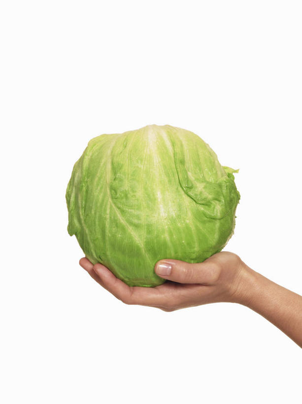 西方人,手,一个人,捧,竖图,室内,特写,白天,白色背景,侧面,蔬菜,椰菜,卷心菜,欧洲,欧洲人,仅一个年轻女性,仅一个女性,仅一个人,新鲜,食品,食物,一个,绿色,手部,甘蓝,摄影,有机食品,绿色食品,影棚,单个,单手,年轻女性,女人,女性,白种人,结球甘蓝,甘兰,包心菜,端,端着,捧着,手捧,半身,彩图,影棚拍摄,拍摄