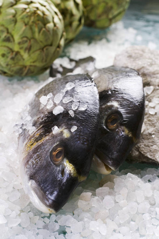 海鲜,无人,竖图,俯视,室内,特写,白天,餐桌,桌子,蔬菜,两条,阴影,朦胧,模糊,新鲜,反射,鱼,影子,朝鲜蓟,食品,鲷鱼,水产,鱼类,海洋生物,食物,绿色,洋蓟,有机食品,绿色食品,餐台,鲷,加吉鱼,铜盆鱼,水生动物,海产品,水生物,海底动物,班加吉,加真鲷,彩图,高角度拍摄,全身,菜蓟,法国百合,球洋蓟,蔬菜之皇,洋百合