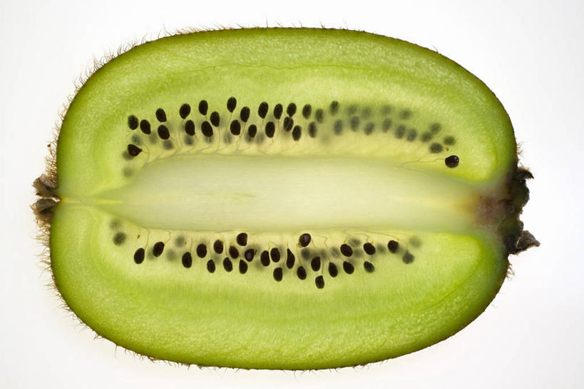 无人,横图,俯视,室内,特写,白天,白色背景,餐桌,桌子,猕猴桃,水果,切开,阴影,新鲜,反射,影子,生食,食品,果实,食物,切,摄影,有机食品,绿色食品,影棚,餐台,剖面,切面,奇异果,猕猴梨,彩图,高角度拍摄,影棚拍摄,拍摄