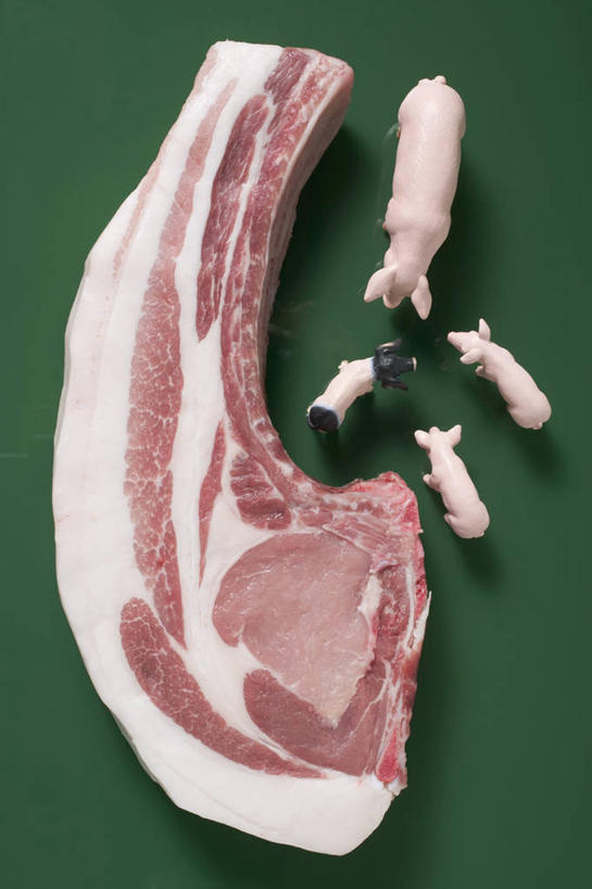 无人,竖图,俯视,室内,特写,白天,餐桌,桌子,猪,绿色背景,阴影,反射,影子,肉,猪肉,肉类,动物,家畜,四头,摄影,牲畜,影棚,餐台,肉食,豚肉,彩图,高角度拍摄,全身,影棚拍摄,拍摄