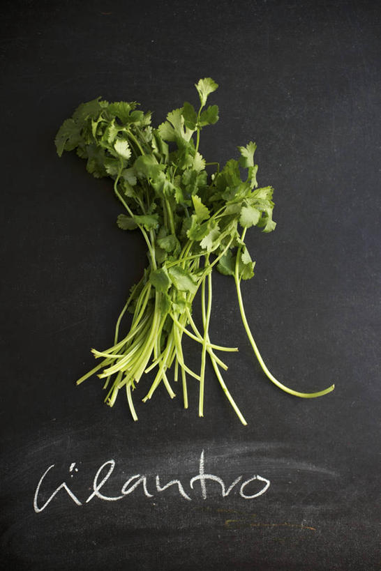 无人,竖图,俯视,室内,特写,白天,餐桌,桌子,蔬菜,叶子,阴影,灰色背景,新鲜,反射,英文,标志,文字,影子,字符,字母,香菜,食品,绿叶,标识,食物,嫩叶,摄影,有机食品,绿色食品,影棚,餐台,英文字母,胡菜,香荽,原荽,园荽,芫荽,胡荽,莞荽,芫茜,芫蓿,莚葛草,莚荽菜,叶,叶片,彩图,高角度拍摄,影棚拍摄,拍摄