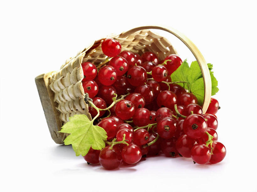 无人,交叉,横图,俯视,室内,特写,白天,白色背景,植物,桌面,桌子,竹子,浆果,水果,叶子,一堆,许多,阴影,堆叠,堆积,竹制,新鲜,编织,反射,木制,篮子,纹理,影子,灯笼果,生食,食品,果实,绿叶,很多,食物,一个,红色,绿色,木制品,竹篮,嫩叶,摄影,有机食品,绿色食品,影棚,单个,竹条,堆,交织,竹制品,红醋栗,肌理,穿插,叶,叶片,叶脉,醋栗,彩图,高角度拍摄,影棚拍摄,拍摄