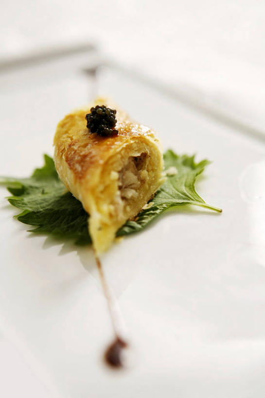 无人,竖图,俯视,室内,特写,白天,白色背景,餐桌,桌子,餐具,叶子,阴影,朦胧,模糊,装饰,反射,碟子,盘,影子,调料,酱料,酱汁,肉,佐料,绿叶,调味品,调味料,鸭肉,酱,肉类,一个,盘子,碟,嫩叶,摄影,影棚,单个,餐台,华丽,修饰,点缀,配菜,肉食,衬托,美观,雅致,雅观,叶,叶片,彩图,高角度拍摄,影棚拍摄,拍摄