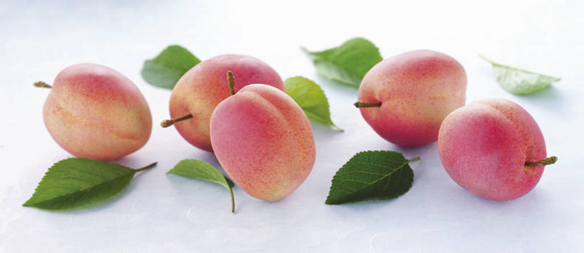 无人,横图,俯视,室内,特写,白天,白色背景,植物,桌面,桌子,李子,水果,叶子,阴影,新鲜,反射,木制,纹理,影子,生食,食品,果实,绿叶,食物,粉色,绿色,木制品,四个,嫩叶,摄影,有机食品,绿色食品,影棚,肌理,红李,鸡血李,杏李,叶,叶片,叶脉,彩图,高角度拍摄,影棚拍摄,拍摄