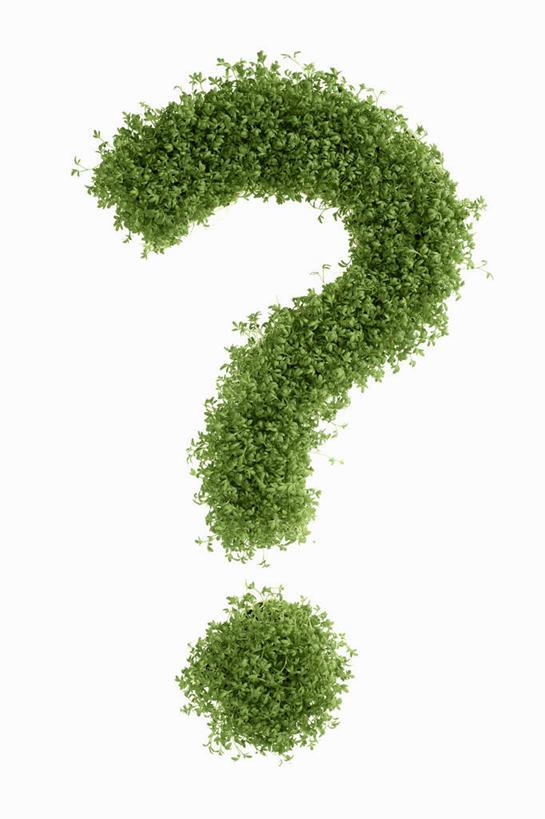 无人,竖图,俯视,室内,特写,白天,白色背景,植物,桌面,桌子,芹菜,蔬菜,叶子,阴影,新鲜,反射,木制,标志,文字,纹理,影子,字符,字母,食品,绿叶,标识,食物,绿色,木制品,嫩叶,摄影,有机食品,绿色食品,影棚,问号,肌理,根芹菜,根洋芹,球根塘蒿,叶,叶片,叶脉,药芹,水芹,旱芹,彩图,高角度拍摄,影棚拍摄,拍摄