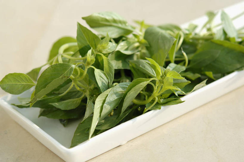 无人,横图,俯视,室内,特写,白天,植物,桌面,桌子,餐具,叶子,阴影,反射,木制,碟子,盘,纹理,影子,香料,绿叶,草药,中药,一个,绿色,盘子,木制品,碟,香草,嫩叶,摄影,影棚,单个,罗勒,紫苏,药材,中草药,九层塔,圣约瑟夫草,甜罗勒,兰香,中药材,本草,肌理,叶,叶片,叶脉,彩图,高角度拍摄,影棚拍摄,拍摄