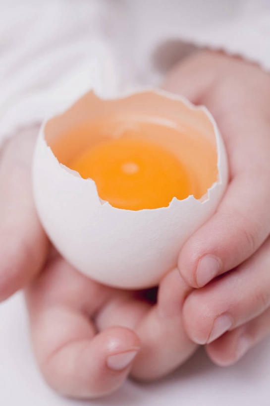 西方人,婴儿,儿童,手,一个人,竖图,室内,特写,白天,白色背景,正面,纯洁,欧洲,欧洲人,双手,仅一个人,握,服装,蛋,鸡蛋,拿,拿着,休闲装,一个,小孩,衣服,休闲,手部,休闲服,可爱,握着,摄影,服饰,活泼,影棚,单个,宝宝,纯真,烂漫,无邪,卵,伶俐,天真,白种人,孩子,半身,彩图,影棚拍摄,拍摄