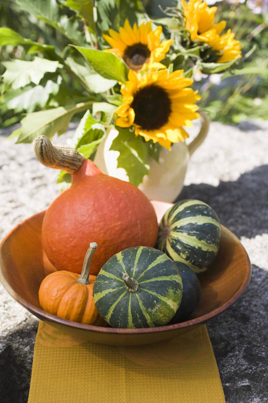 无人,竖图,俯视,室外,特写,白天,爱情,幸福,智慧,太阳,桌面,桌子,向日葵,南瓜,蔬菜,花瓶,阴影,新鲜,艺术,盛开,光线,木制,影子,陶瓷,金瓜,食品,陶瓷制品,花蕾,文化,番瓜,花,花瓣,花朵,鲜花,食物,一个,阳光,插花,木制品,瓶子,容器,碗,花苞,花蕊,有机食品,绿色食品,单个,储藏,麦瓜,倭瓜,插花艺术,创造,储存,创作,光辉,想象,沉默,忠诚,勇敢,投缘,爱慕,高傲,朝阳花,葵花,望日莲,向阳花,转日莲,彩图,高角度拍摄,贮存