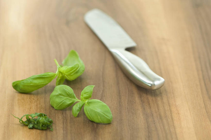 无人,横图,俯视,室内,特写,白天,植物,桌面,桌子,叶子,金属制品,阴影,反射,金属,木制,工具,纹理,影子,香料,绿叶,草药,刀具,中药,绿色,木制品,刀,香草,嫩叶,罗勒,菜刀,紫苏,药材,中草药,九层塔,圣约瑟夫草,甜罗勒,兰香,中药材,本草,肌理,切菜刀,叶,叶片,叶脉,彩图,高角度拍摄