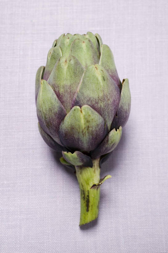 无人,竖图,俯视,室内,特写,白天,白色背景,桌面,桌子,蔬菜,阴影,新鲜,反射,木制,影子,朝鲜蓟,食品,食物,一个,木制品,洋蓟,摄影,有机食品,绿色食品,影棚,单个,彩图,高角度拍摄,影棚拍摄,拍摄,菜蓟,法国百合,球洋蓟,蔬菜之皇,洋百合